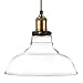 Pendant Lights Hanging Glass Ceiling Mounted Chandelier Fixture,Oak Leaf Vintage Industrial Edison Glass Ceiling Pendant Lighting