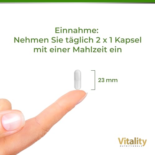 Magnesium Synergy 3-Fach Power: Magnesium Citrat, Glycinat & Malat, 120 Kapseln Hochdosiert, Premium Komplex Vegan, Laborgeprüft Vitality Nutritionals von Vitamin Express