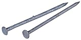 HILLMAN FASTENERS 461590 50 lb 5' 40D Galvanized Common Nail