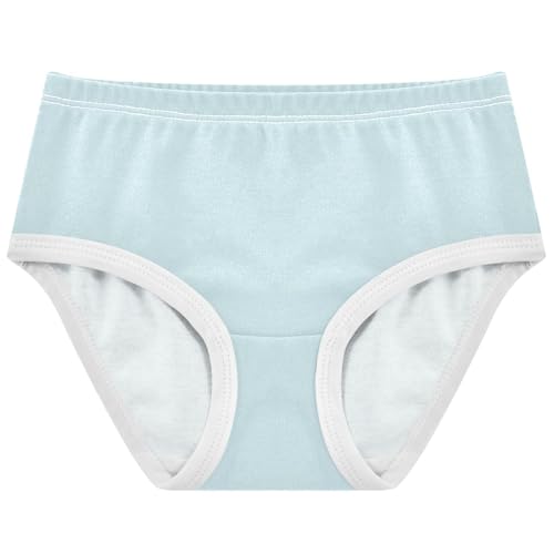 Joisal Toddlers Underwear Floral 2t Cotton Panties Little Girl Florals Briefs Girls Undies Pale Blue