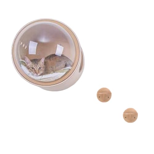 AOUTNFD FD EH[ibg EJ f Lpxbh u Ǖt Q ؐ IV LNC~Ot[AJvZL̑AFDAvňAI[V[YɓKAʋC fށALxbhAŒAǊ|AؐAt@bV