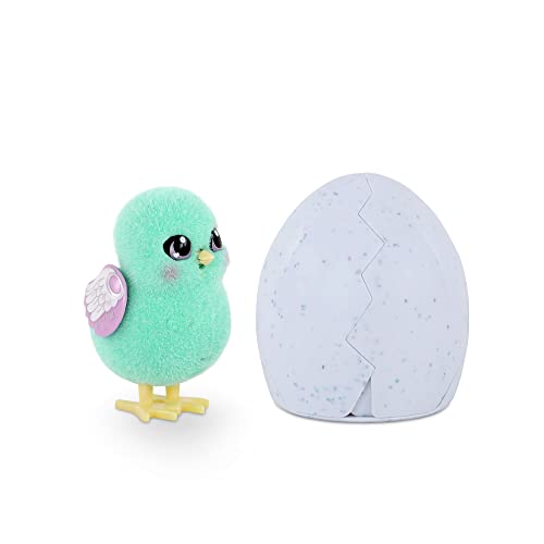image for Little Live Pets - Surprise Chick; Cute Interactive Collectible Toy Ch