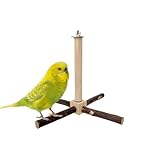 Perchoir pour oiseaux - Perchoir d'escalade - 23 x 23 x 18 cm - Longue durée de vie - Utilisation facile et multifonctionnelle pour inséparables et conures
