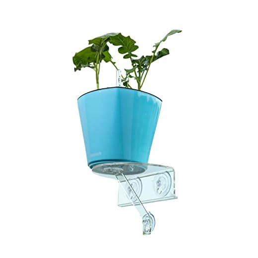 Window Garden Veg Ledge Shelf Aquaphoric Self Watering Planter Kit Bundle - Grow Indoor Live Plants or Seeds - Herbs, Greens, Flower on Your Window. Gorgeous Kitchen Decor. Powered by Outdoor Light.