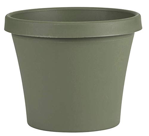 Bloem Terra Plastic Pot Planter 12" Living Green