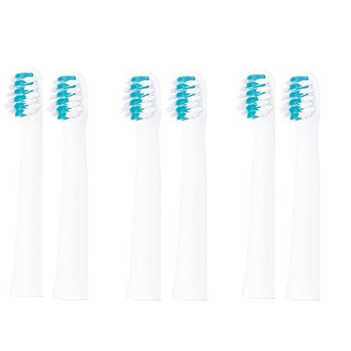 hc ւuV pi\jbN XpWɍזуuV EW0971-Wij 2{ 3Zbgiv6{j