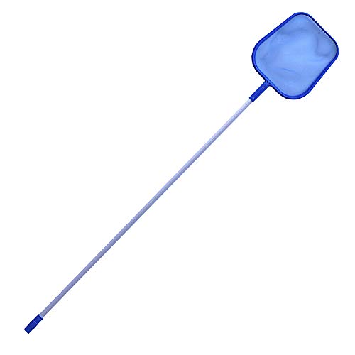 Lolahome Recogehojas Con Pértiga Fija Extra Larga Azul De Aluminio De 185 Cm