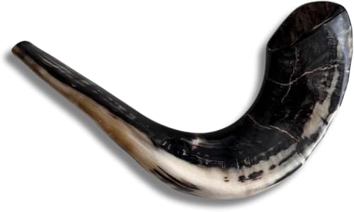 Spring Nahal - Cuerno de shofar de carnero Kosher totalmente pulido de Israel, instrumento musical judío fácil de soplar, fabricado en Israel por Spring Nahal (16 a 18 pulgadas)