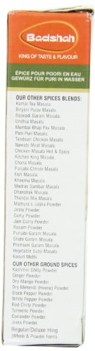Badshah Pani Puri Masala Powder | Blended Spice Mix | Instant Pani Puri Masala - 100 g