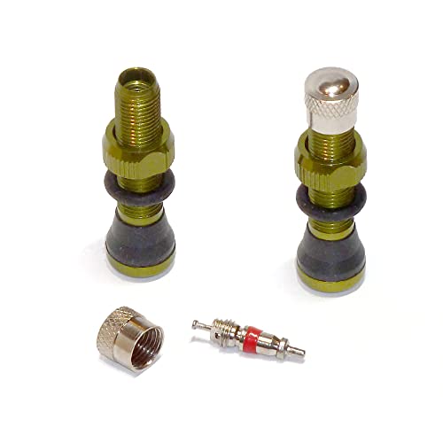 VeloTubes FR-21 pneu 40 mm vert pour éviter les crevaisons à bicyclette