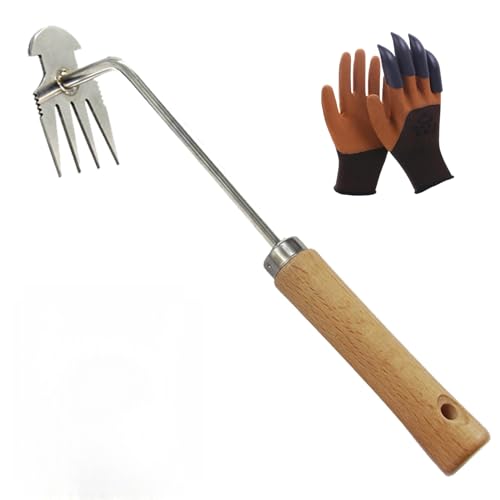   蓹 GuV y Ǝ1gtz G 蓹G ނ G ֗ObY ЎL ؉L L |p (30)