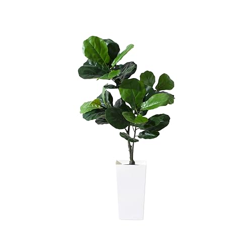 BLATOMIC Artificial Fiddle Leaf Fig Tree, 5FT Fake Ficus lyrata Silk Trees with White Tall Planter...