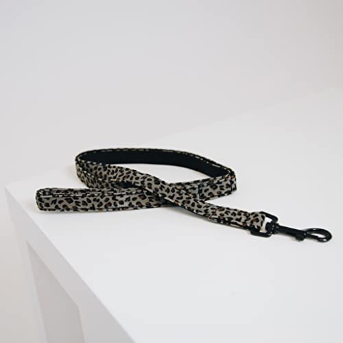Longe pour chien 1m20 leopard gris pour balade urbaine sure