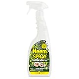 I Consigli Dell'Esperto