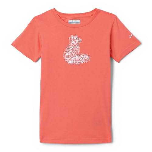 Image of Columbia Kids Mission Lake Short Sleeve Graphic Shirt (Little Kids /Big Kids)