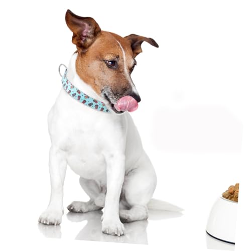 BAZEITFLOW Verstellbares Gepolstertes Hundehalsband Aus Strapazierfähigem Material Mit Schnellverschluss Schnalle Für Outdoor-aktivitäten Und Feste Erhältlich