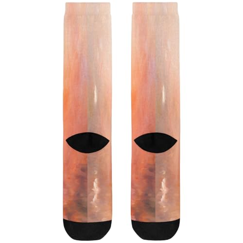 Women's Mid-Calf Socks Abstract Girl Knee High Socks Silky Soft Thin Material,Girl Tall Boot Socks 1 Pairs3