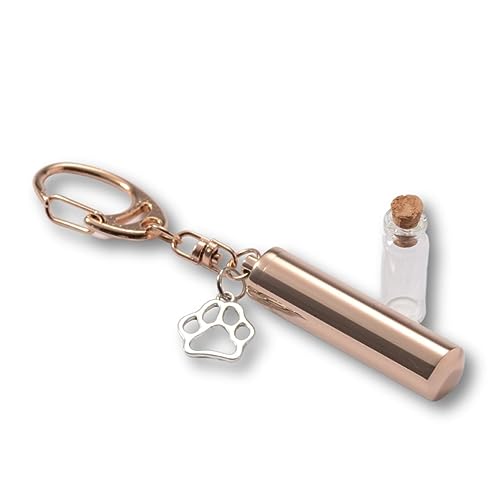 Pettieland ⍜ JvZ L[z_[ KXǕt d\ lbNX y_g  ~j  L   ybg  茳{   AObY `[t (sNS[h)