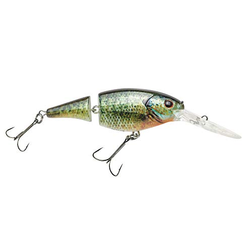 Berkley Flicker Shad Jointed Fishing Lure, HD Bluegill, 1/3 oz, 2 3/4in | 7cm Crankbaits, Size,...