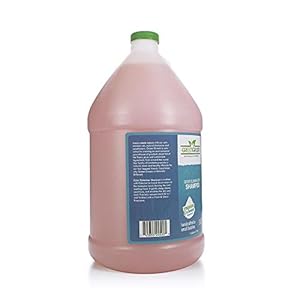 Green Groom Odor Eliminator Dog Shampoo, 1 Gallon – Crafted with Odortrol, All Natural Ingredients, Antioxidant Rich, Eliminates Smelly Pet Odors, Powerful Deodorizing Formula, Professional Grade