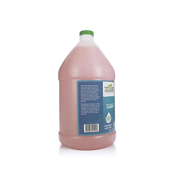 Green Groom Odor Eliminator Dog Shampoo, 1 Gallon – Crafted with Odortrol, All Natural Ingredients, Antioxidant Rich, Eliminates Smelly Pet Odors, Powerful Deodorizing Formula, Professional Grade Green Groom Odor Eliminator Dog Shampoo, 1 Gallon – Crafted with Odortrol, All Natural Ingredients, Antioxidant Rich, Eliminates Smelly Pet Odors, Powerful Deodorizing Formula, Professional Grade