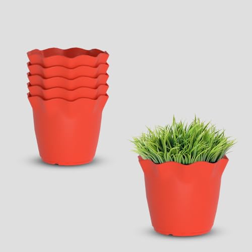 Image of YUCCABE ITALIA SHERA 4 Inch Plastic Flower Pot 6 Piece Set of Unbreakable Round Shape Planter for Home Garden Seedling, Indoor and Outdoor (Red)