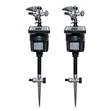 Solar Motion Activated Sprinkler to Deter Animal Cat, Birds, Dogs Repellent Outdoor Lawn Motion Sensor Water Sprinkler for Garden 2 Pack