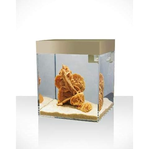 Askoll Aa350003 Aquarium Pure Naturalsand Cover
