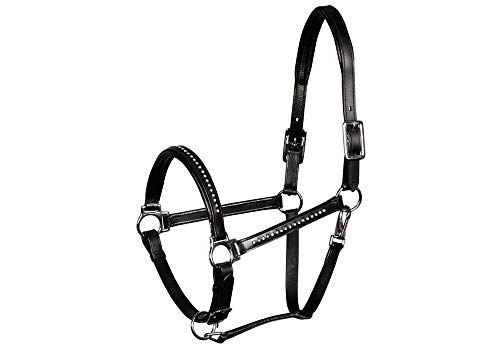 Licol en cuir Finesse Crystal