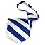 Royal Blue and White Striped