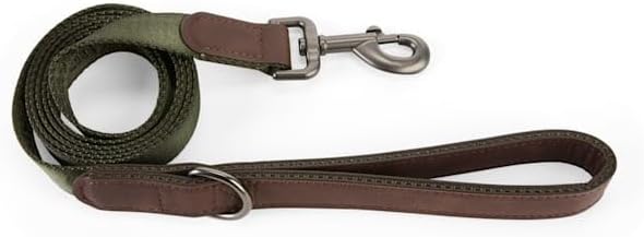 Reddy by Petco Jacquard Dog Leash Light Pink 6-ft Long 1-in Wide