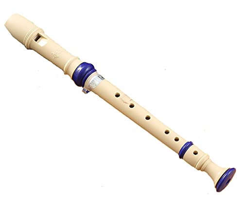 (W-CN) G-like cJ R[_[ w W[} Ǌy (u[6)