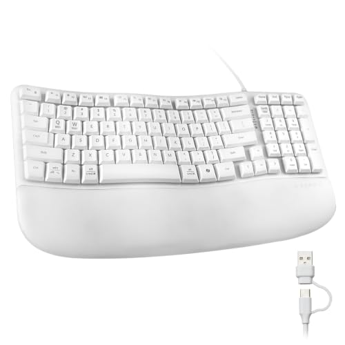 SANWA GSKBERG10W