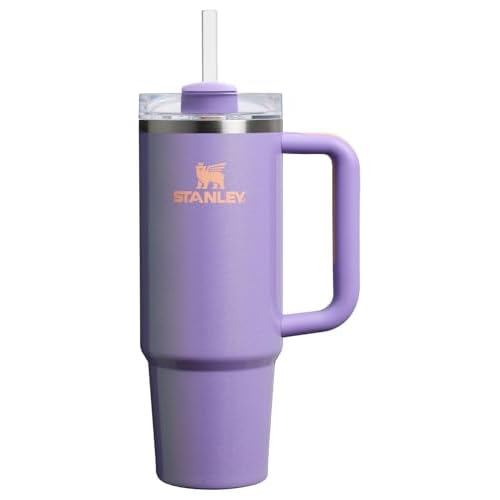 Stanley Quencher H2.0 Tumbler with Handle and Straw 30 oz | Flowstate 3-Position Lid | Cup Holder Compatible for Travel | Insulated Stainless Steel Cup | BPA-Free | Periwinkle Shimmer