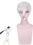 KAPVXRKI Land of The Lustrous Antarcticite Cosplay Wig Costume Houseki no Kuni Men Heat Resistant Synthetic Wigs for Halloween Costume Party Role Play+Wig Cap