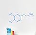 Produktbild Terilizi Dopamin Molekül Wandtattoo Chemische Gleichung Vinyl Wandaufkleber Klassenzimmer Chemie Labor Wandbild Wandkunst Aufkleber Decor56X21 Cm Blau