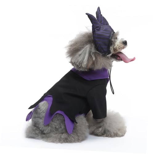 Disfraz Halloween para Perro Talla M de ERINGOGO miniatura 5
