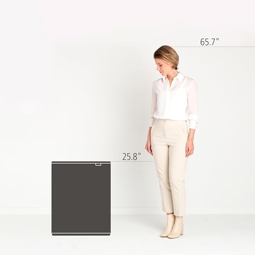 Image of Brabantia Bo Touch Bin 2 x 30L /6.6 Gallon (Soft Gray), Dual-Container Trash Can for Kitchen, Soft-Touch Garbage Can with 2 Inner Buckets