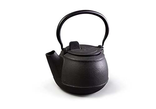 Best Cast Iron Pot For Fireplace