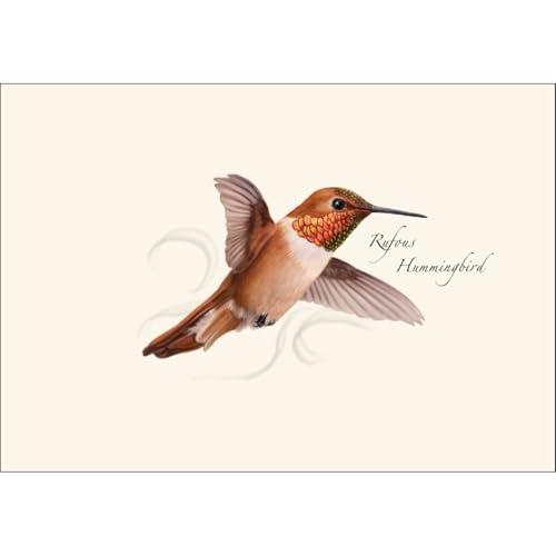 Image of Earth Sky + Water - Rufous Hummingbird Notecard Set - 8 Blank Cards with Envelopes