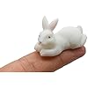Amazon.com: Pinenjoy 20Pcs Realistic Miniature Rabbit Figurines Cute ...