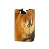 AAJJINA Kids Wasserij Hamper Met Handvaten-Opvouwbare Stof Wasserij Bakset Vuile Kleding Hamper Voor Vrouwen,Chow Chow