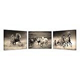 YeiLnm Southwest Artwork Vertical Wall Art Horse Pictures Cowboy Wall Decor