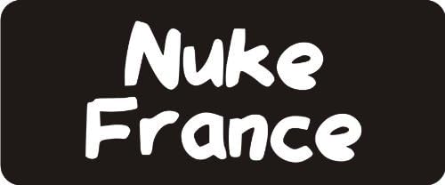 3 - Nuke France 1 1/4" x 3" Hard Hat Biker Helmet Stickers Bs437