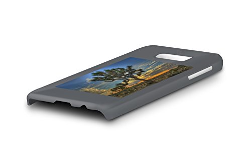 Joshua Tree National Park, California - Tree in