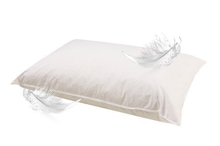 LINENWALAS White Pillows with Pillow Protector, 90/10 Feather and Goose Down Pillow, Set of 1, Standard Size Pillow (17x27 inch) (90% Feathers - 10% Goose Down)