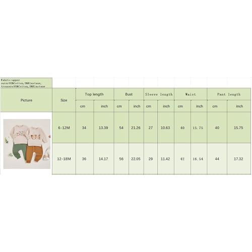 Geagodelia Baby Jungen 1. Geburtstag Outfit Babykleidung Set Sweatshirt Langarmshirt + Hose Erster Geburtstag Kleidung Neugeborene Weiche Babyset 1 Jahr Deko (Beige & Braun - Bär, 12-18 Monate)