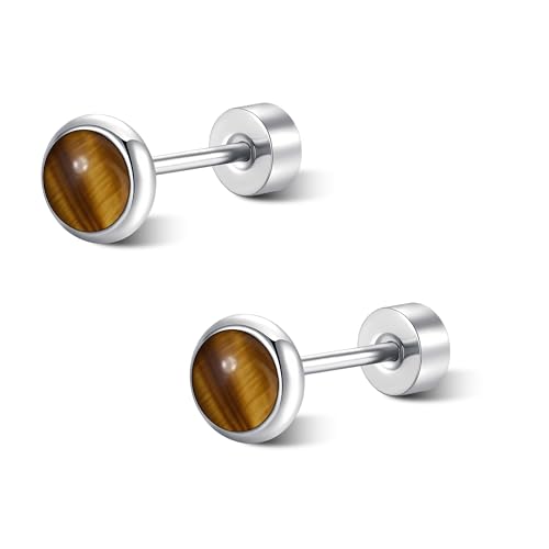 Titanium Flat-Back Earrings Lapis Lazuli/Tiger's Eye/Amethyst/Aventurine/Jade Luxurious Minimalist and Stylish Earring Hypoallergenic Titanium Stud Birthday Present for Women