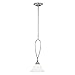 Vaxcel P0084 Darby 8-Inch Mini Pendant, Satin Nickel