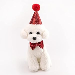 Mirrwin Hund Geburtstag Hut Katzen Hund Geburtstag Set Haustier Geburtstag Partyhüte mit Fliege Haustier Party Supplies Dekorationen Verstellbares Dekoratives Zubehör für Hunde und Katzen, Rot